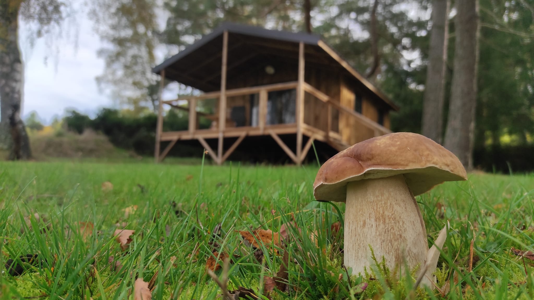 Carousel actualités logement insolite Puy de dome