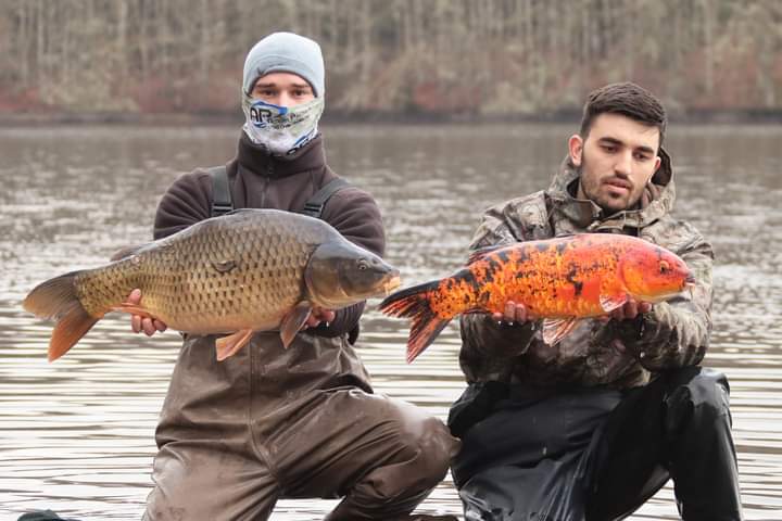 Carousel Pêche carpe auvergne